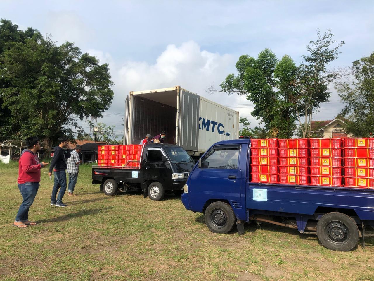 mangosteen / salak staffing process