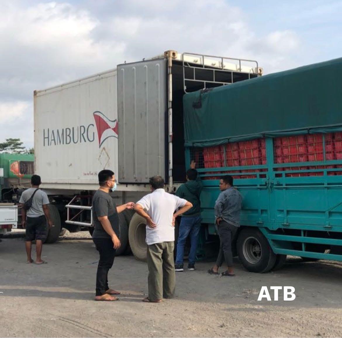 process of loading fruit into containers