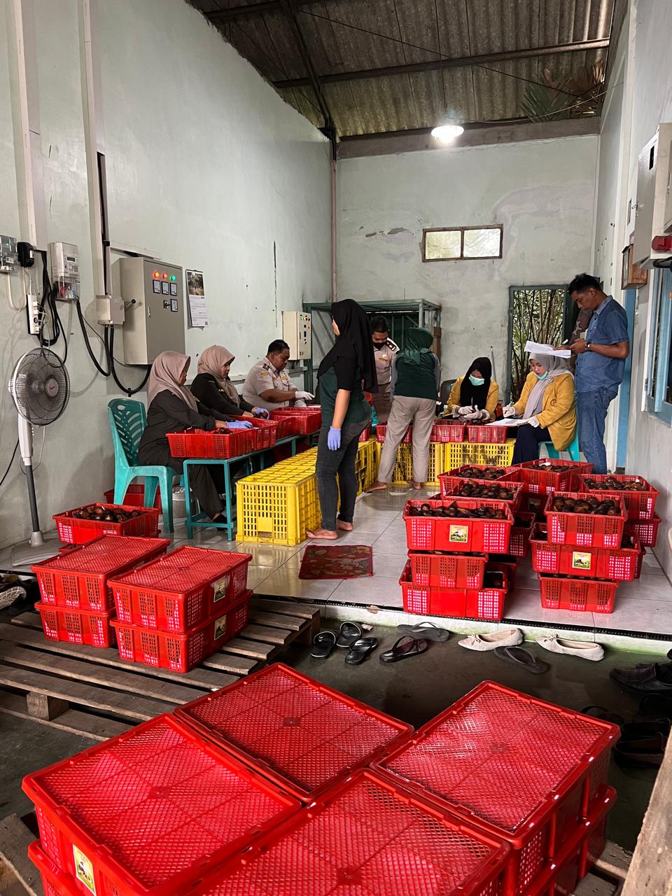 quarantine inspection process