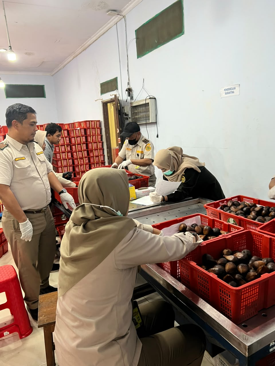 quarantine inspection process