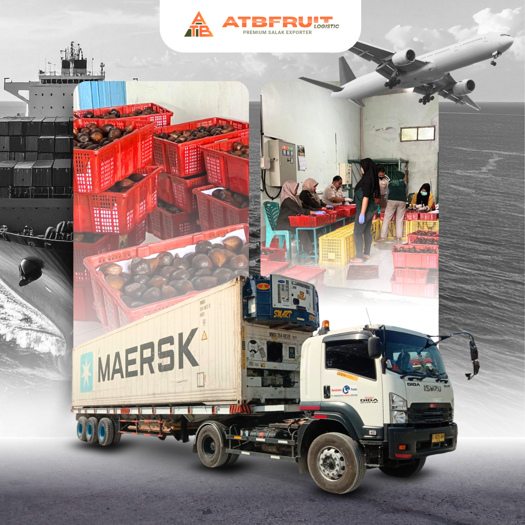 Trusted Exporter of Premium Indonesian Salak