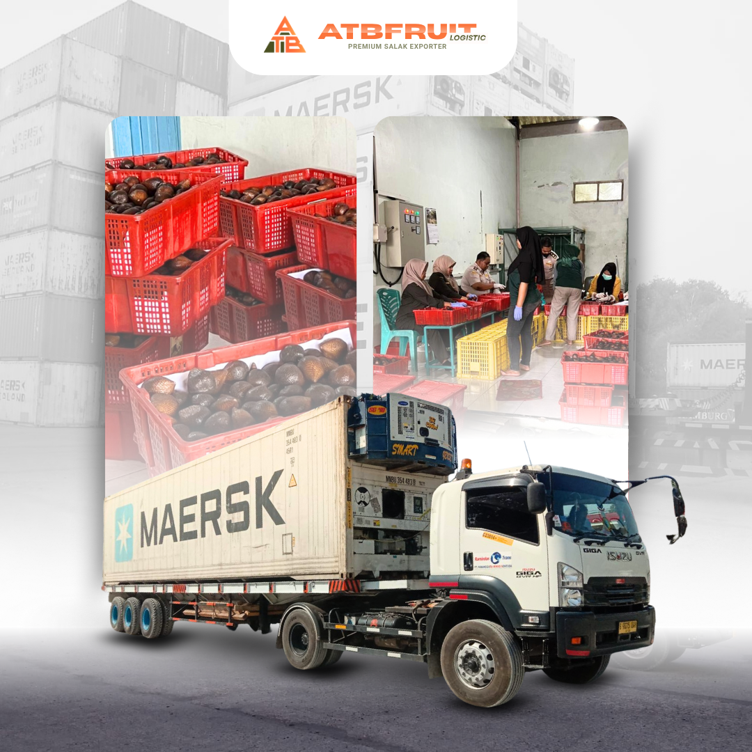 Trusted Exporter of Premium Indonesian Salak