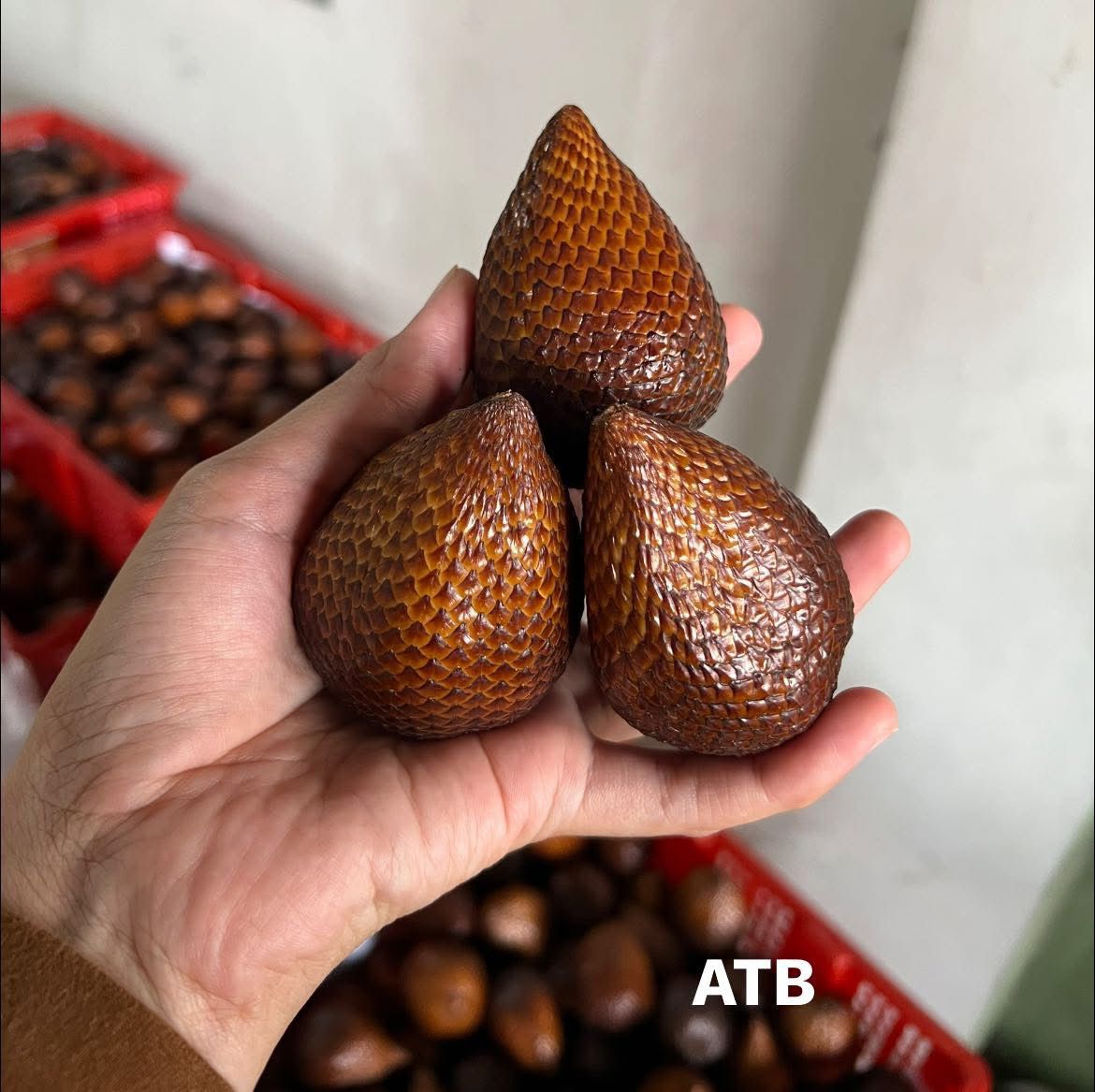 Salacca Fruit / Snake Fruit